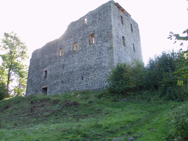 Hrad Kamenice.jpg