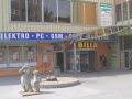 Billa Decin Koral.jpg