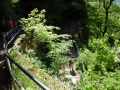 Náhled verze z 3. 7. 2013, 06:46